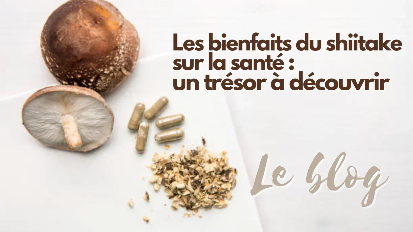 shiitake l-carnitina y vitaminas para que sirve Shiitake: propiedades, beneficios, cmo comerlas contraindicaciones Tomando un delicioso NOX by