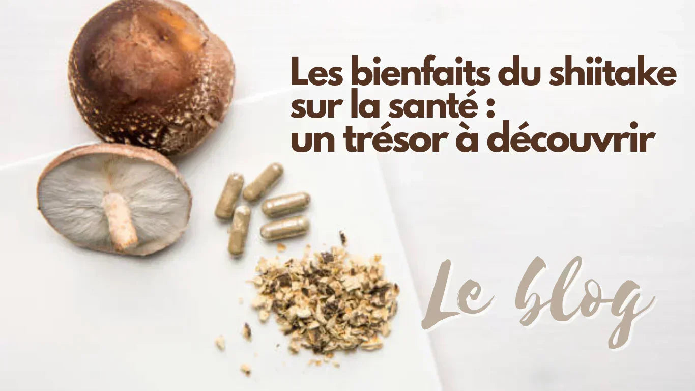 Los beneficios del shiitake para la salud: un tesoro nutricional por d – Boutique Pleine-Forme