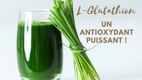 À la découverte du L-glutathion : un antioxydant puissant.