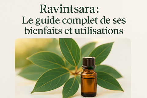 Ravintsara : Le guide complet de ses bienfaits et utilisations.image d'illustration