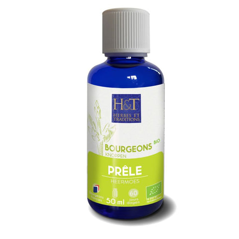 Bourgeons de Prêle bio Herbes et Traditions - flacon 50 ml