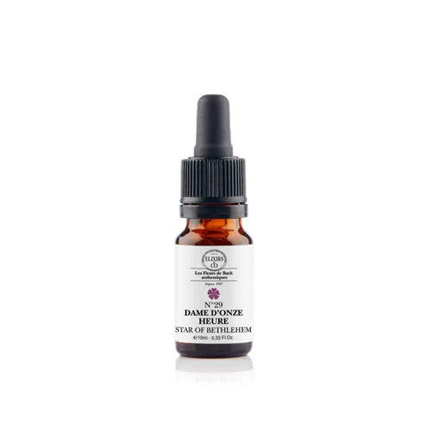 Flacon Fleurs de Bach Dame-d’Onze-Heure Star of Bethlehem n°29 10 ml Elixir & Co – élixir bio pour consolation après traumatisme émotionnel.