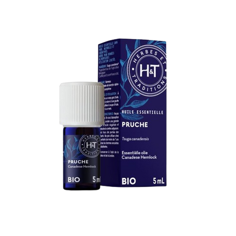 Huile essentielle de pruche bio Herbes et Traditions - flacon 5 ml