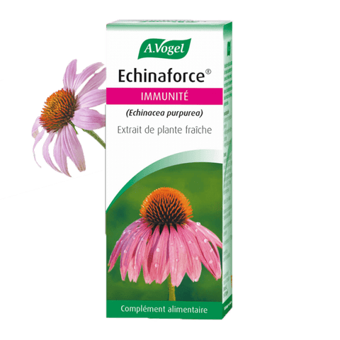 EPF Echinacea-50ml-Vogel