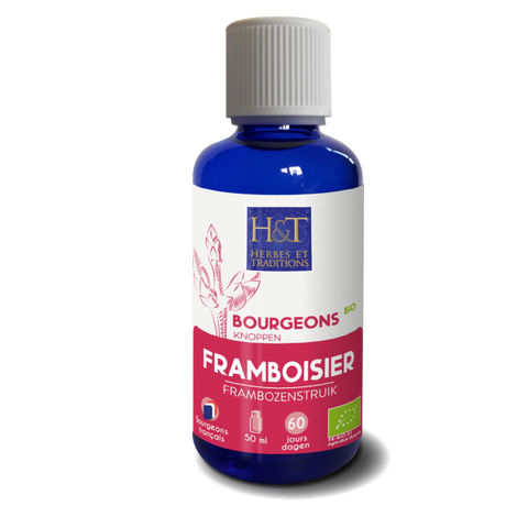 Bourgeons de Framboisier bio Herbes et Traditions - flacon 50 ml