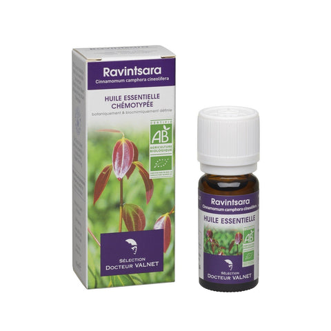 Huile essentielle Ravintsara Bio - 10 ml-Dr.Valnet