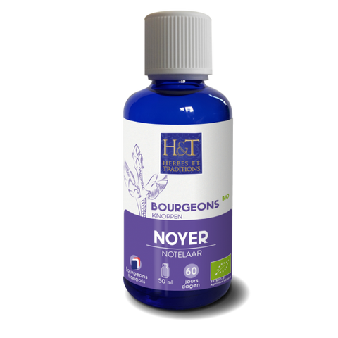 Bourgeons de Noyer bio Herbes et Traditions - flacon 50 ml