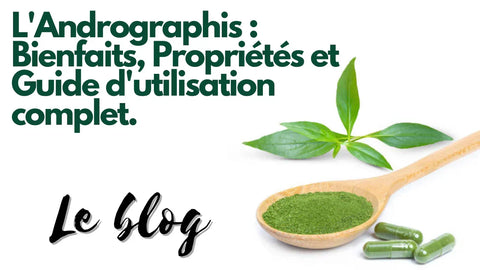 article sur les bienfaits et les propriétés de l'Andrographis