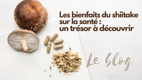 Les bienfaits du shiitake sur la santé : un trésor nutritionnel à découvrir