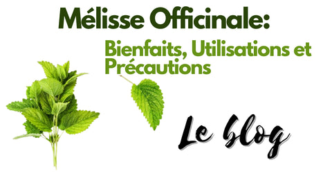 Blog sur la mélisse officinale