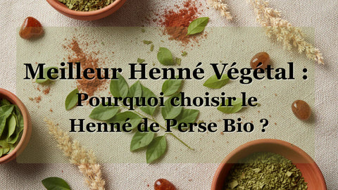 iluustratioon:Meilleur Henné Végétal : Pourquoi choisir le Henné de Perse Bio ?