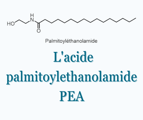 Tout savoir sur l'acide palmitoylethanolamide (PEA