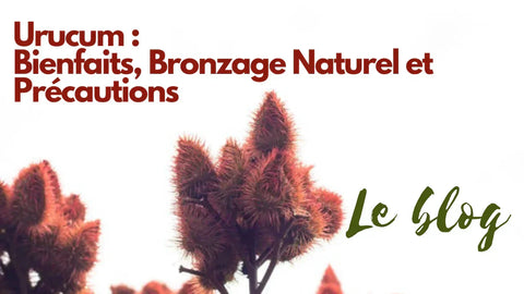 image d'illustration du blog : Urucum, bienfaits et précautions