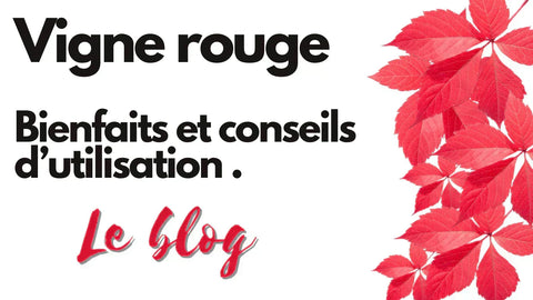 blog bienfaits et conseil d'utilisation de la vigne rouge