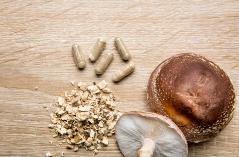 Tout savoir le AHCC pour votre immunité !