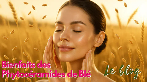 Phytocéramides de blé pour bienfaits hydratation et anti-âge