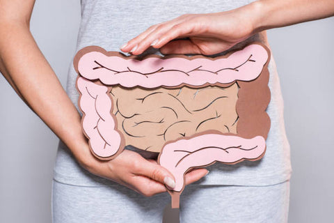 Comment traiter l'imperméabilité intestinale