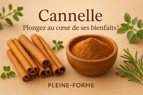 ilustration du blog:Cannelle: Plongez au cœur de ses bienfaits !