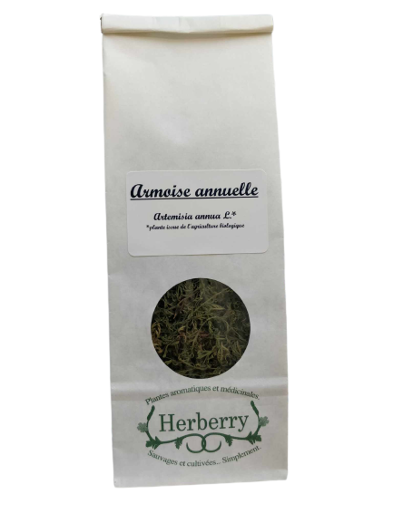 Artemisia annua Organic for infusions-20g-Herberry