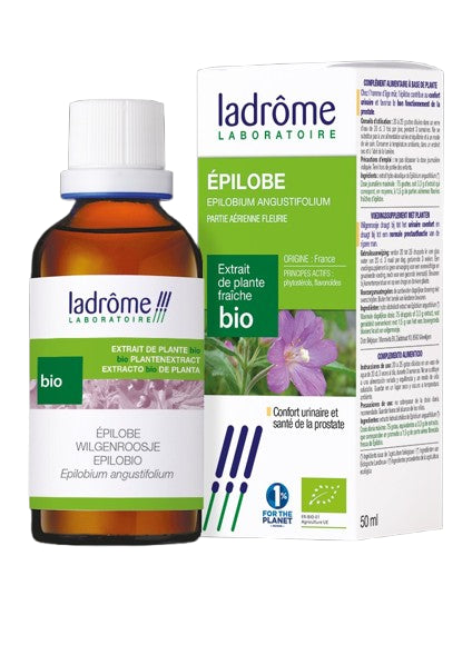 Epilobe-Extrait Bio-50ml-Ladrôme