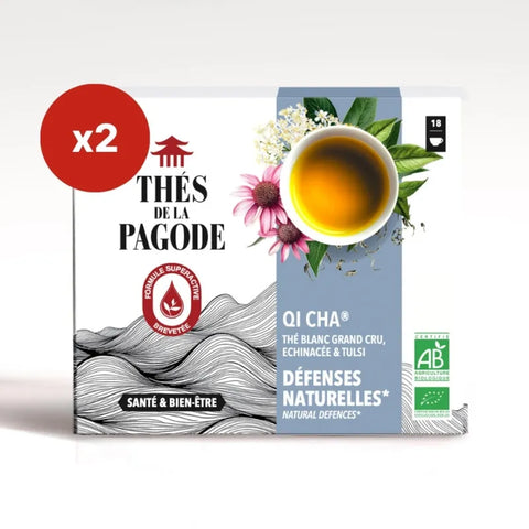 Thé blanc Qi Cha bio-18 sachets-Thés de la pagodex2