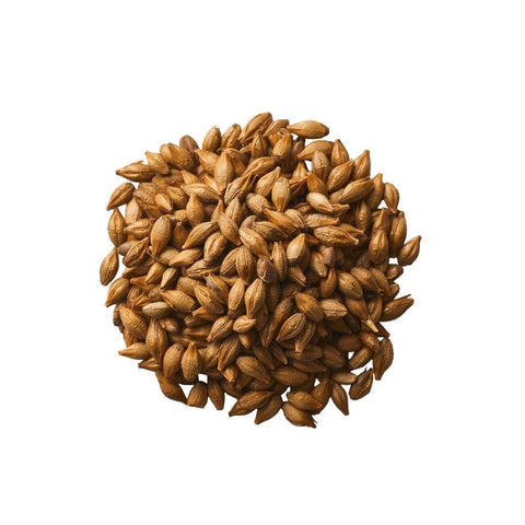 Infusion Mugicha Bio-100g–Thés de la Pagode