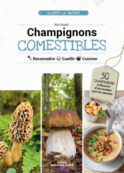 Champignons comestibles - Nat Sinob