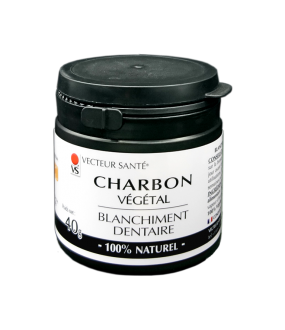 Charcoal dental whitening-40g-Health vector