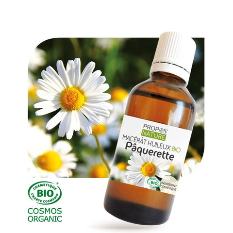 Organic daisy oil-50ml-Propos nature