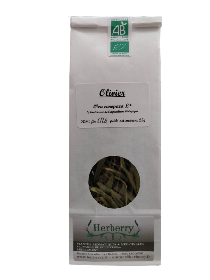 Organic olive leaves for herbal teas-25g-Herberry