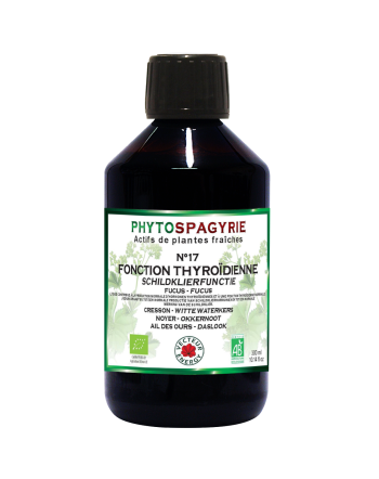 Phytospagyria n°17 ​​thyroid function-300ml-Vector Energy