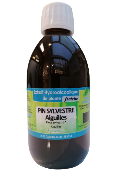 Aiguilles de Pin Sylvestre extrait hydroalcoolique bio-250ml-Phytofrance