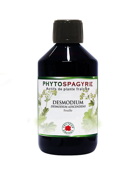 Phytospagyria-Desmodium-300ml-Vector Energy