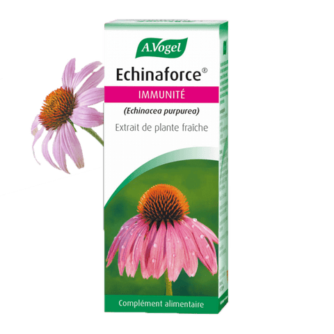 EPF Echinacea-50ml-Vogel 