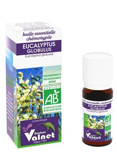 EUCALYPTUS GLOBULUS bio-10ml-Valnet 
