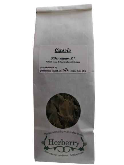 Organic Blackcurrant Leaf Herbal Tea-20g-Herberry