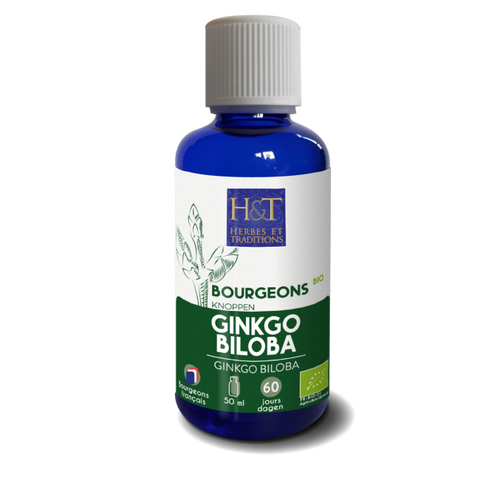Bourgeon de Ginkgo Biloba bio-50ml-Herbes et Traditions