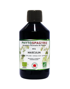 Phytospagyria N°2 Masculine-300ml-Vector energy