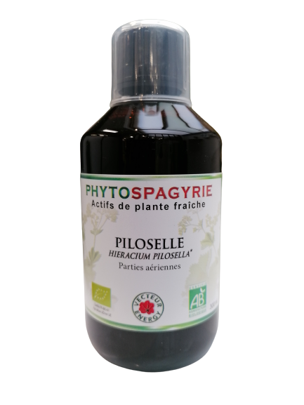 Fitospagiria-Pilosella-300ml-Vector Energy