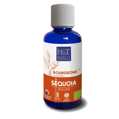Organic Sequoia bud-50ml-Herbes et Traditions